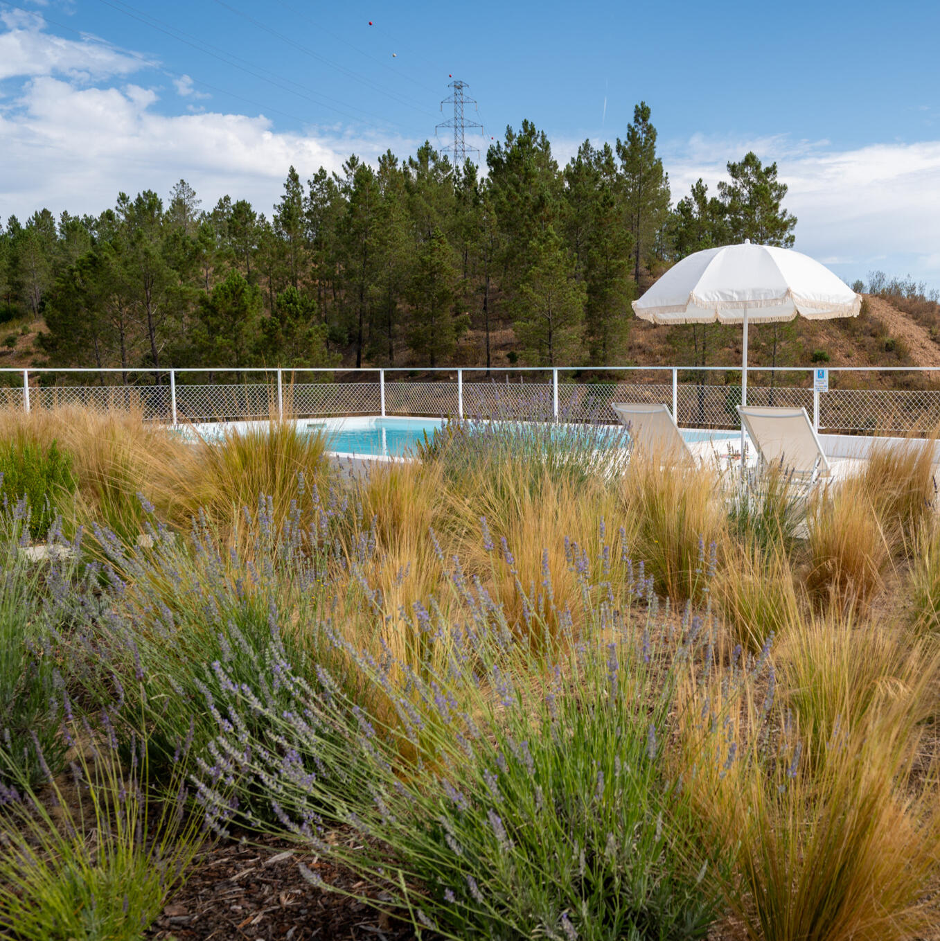 The Alentejo landscape Quiet landscapes and room to breathe.